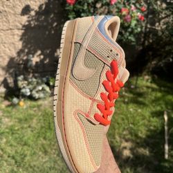 Nike Sb Dunk low Pro