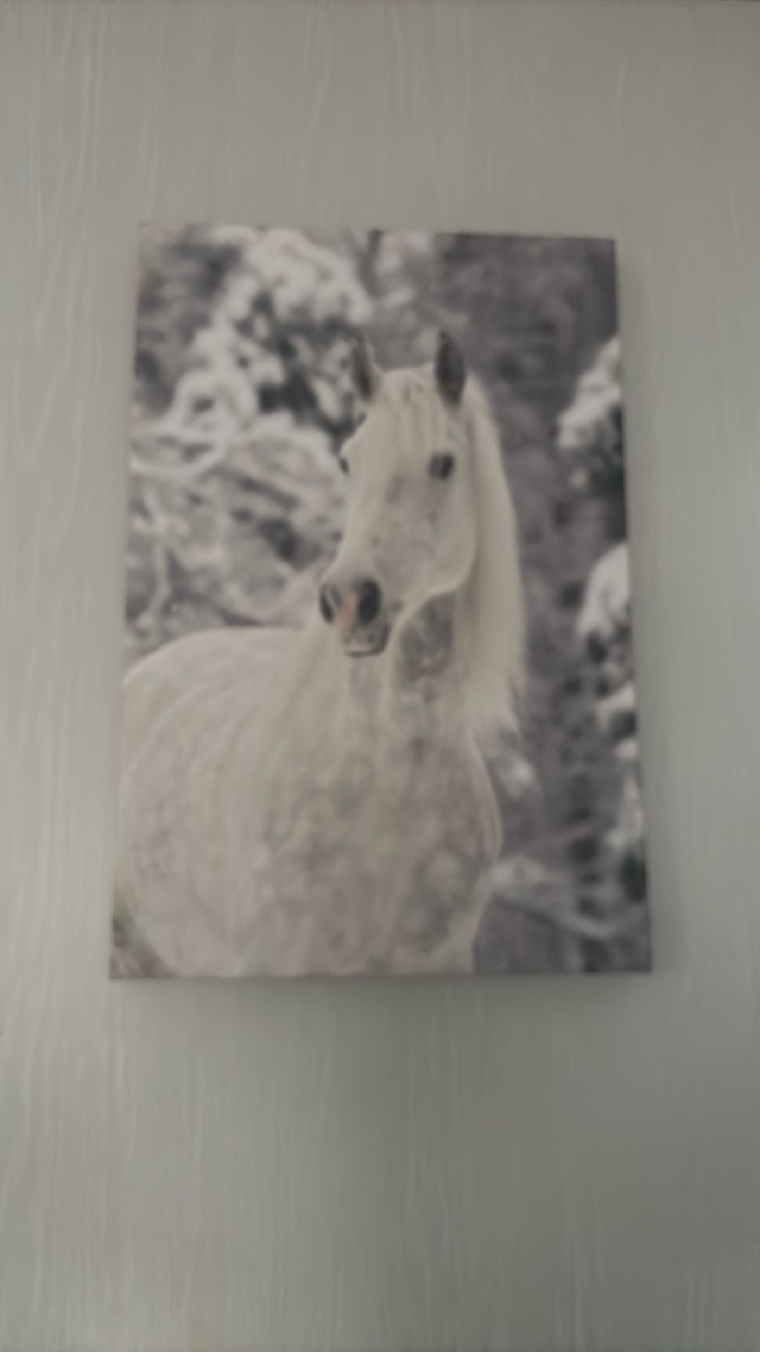 Horse Canvas