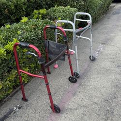 Adult Walker