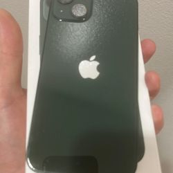 Apple iPhone 13 T-Mobile Metro Pcs Simple Mobile Mint Mobile 128gb Takes Sim Cards Green Color