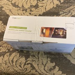 Wall Light Cam