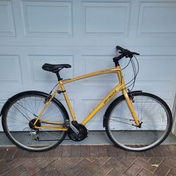 LARGE BIKE /  frame