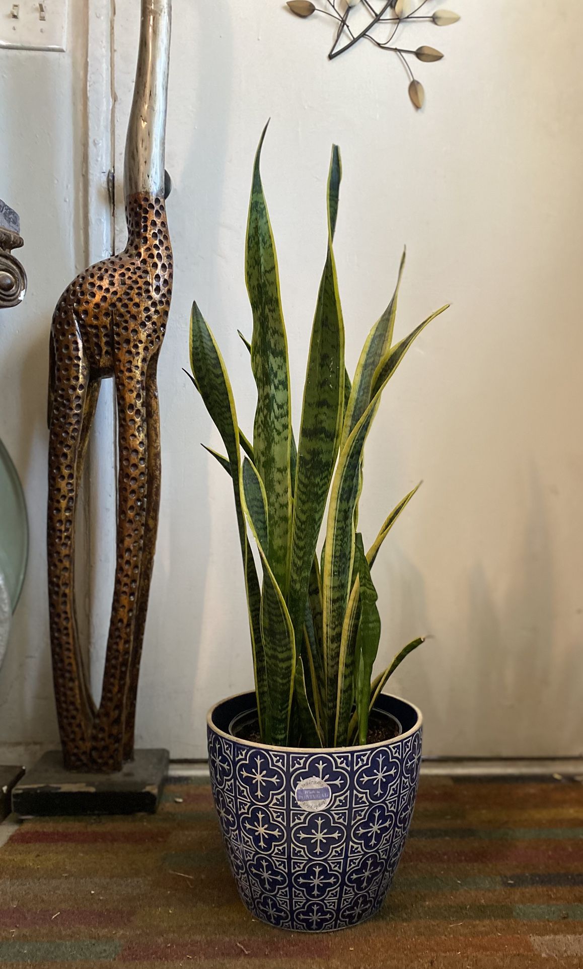 Indoor Mother-in-Law Or Snake Plant