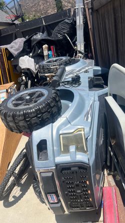 Electric kids raptor