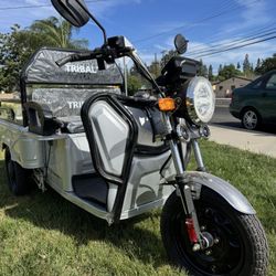 Electric Cargo Truck 