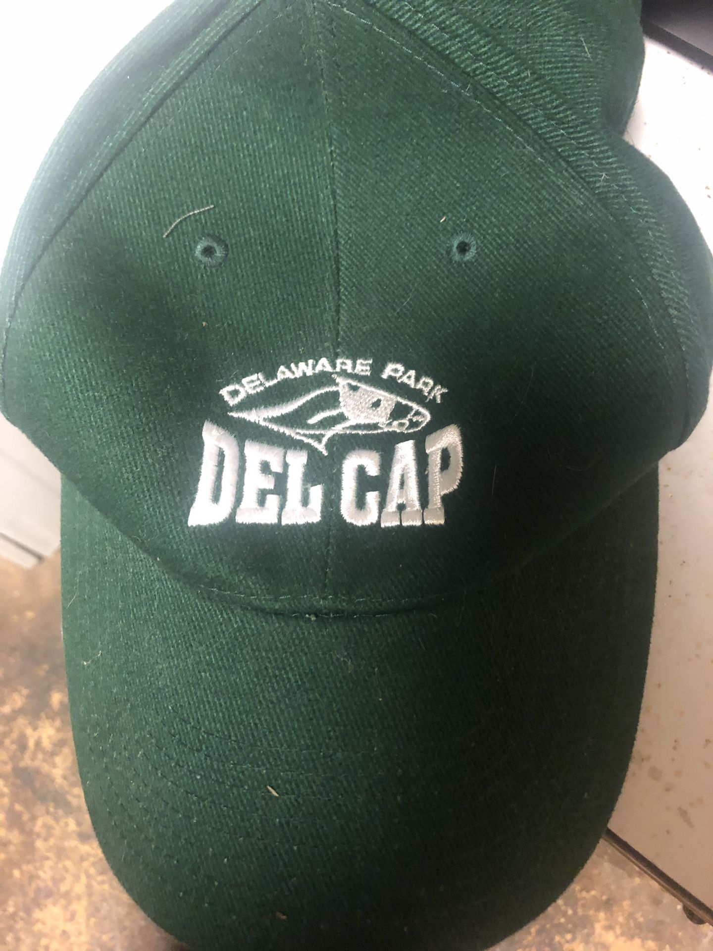 Delaware handicap hat