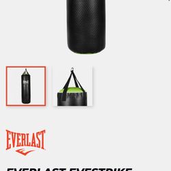 Everlast Punching Bag
