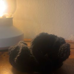 Scrunchie