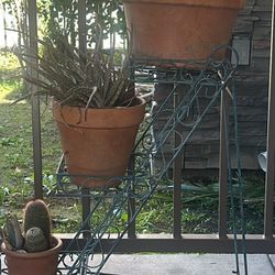 Plant Stand 