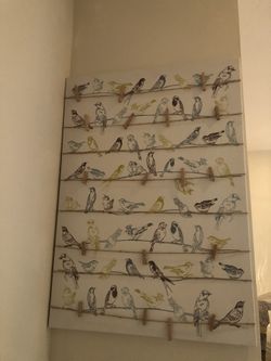 LIKE NEW: 28 x 20 inch Photo Clip Board