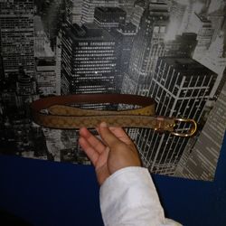 Coach Belt 