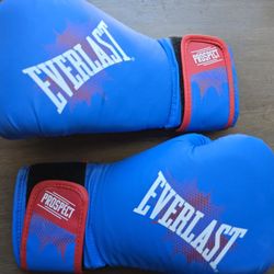 Everlast Boxing Gloves 