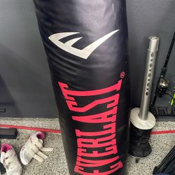 Everlast 100 Lb Heavy Bag