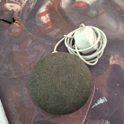 Google Smart Speaker 