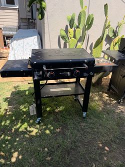 Blackstone 30 Culinary Omnivore Griddle with Hood 2