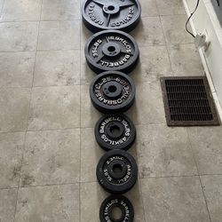 Weights And Bar 