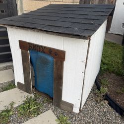 Dog House 