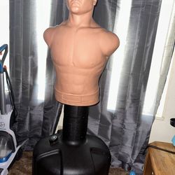 Century Bob Torso Training Bag 