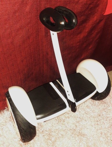 Segway Ninebot S (Hoverboard)