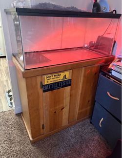 Reptile cage and stand