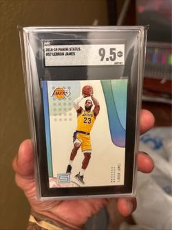 Lebron James 9.5/10