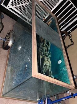 TURTLE/FISH TANK
