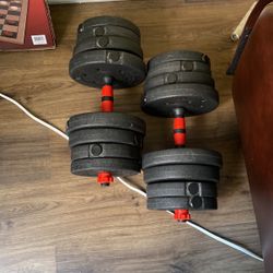 Dumb Bell Weights 