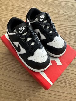 Toddler Nike Dunk Low