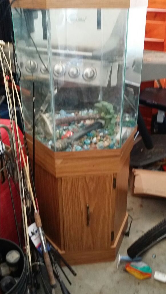 55 gallon Hexagon aquarium/fish tank