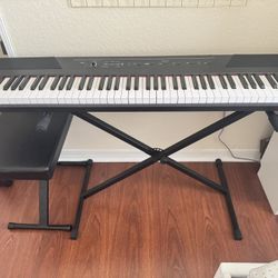 Alesis Recital - 88 Key Digital Piano Keyboard WITH STAND AND CHAIR