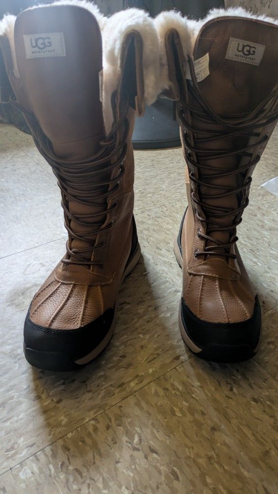 Ugg Boots To The Knee