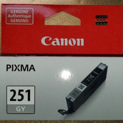 Canon Pixma 251 ink - Gray (2 cartridges)
