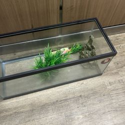 20 Gallon Tank