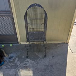 Bird 🐦 Cage
