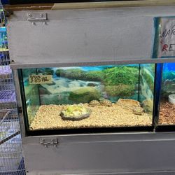 Reptile tank