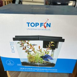 1 Gallon Aquarium 