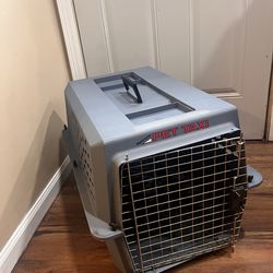 Per carrier medium size