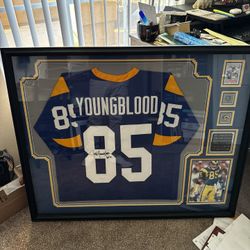 NFL Hall of Fame Jack Youngblood Framed Jersey Authentic 