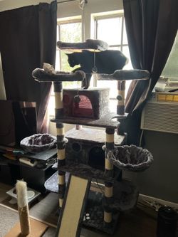 6 ft cat tree