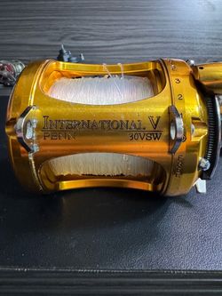 Penn International V 30VSW 2 Speed Reel