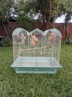 Bird Cage