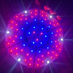 UFO Grow Lights Professional 