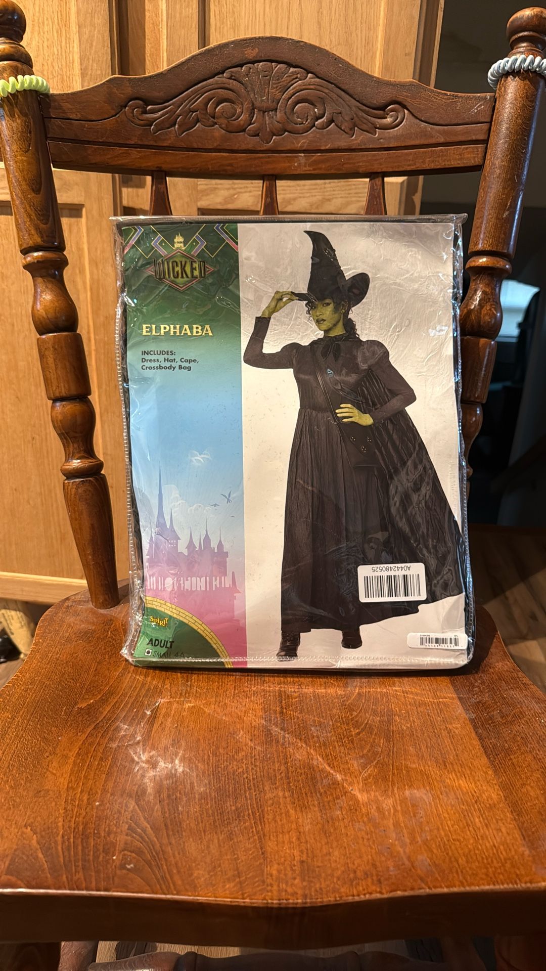 Brand new In Bag Wicked Elphaba Costume