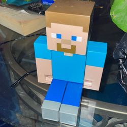 Mind Craft Steve  