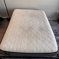 Full Size Mattress 