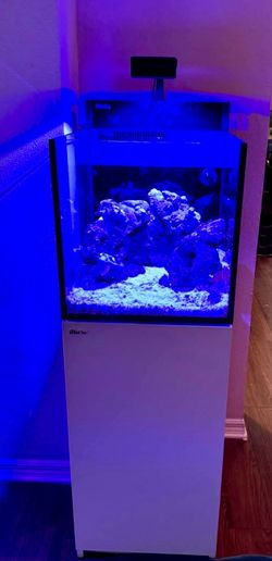 Red Sea MAX NANO G2 Peninsula – Complete Reef Setup