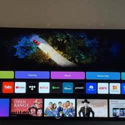 65 Inch Lg G4