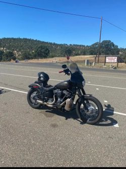2020 Street Bob