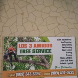 Professional Arborists In The IE