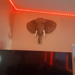 Hang Eliphant Decor